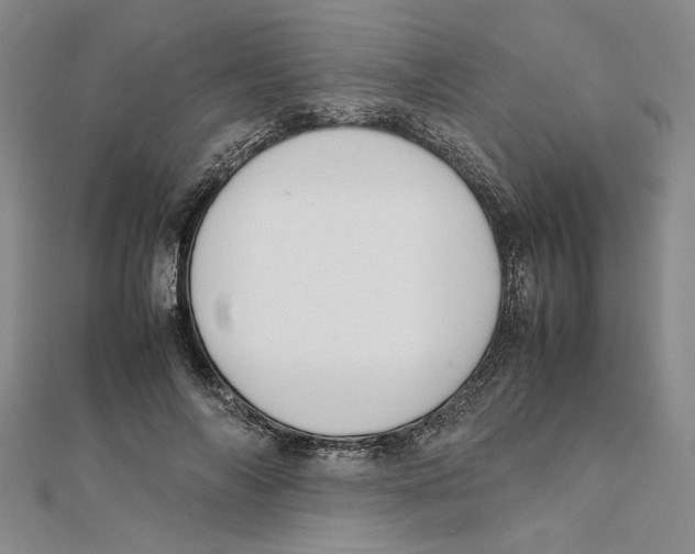 X0000111350694200908071133