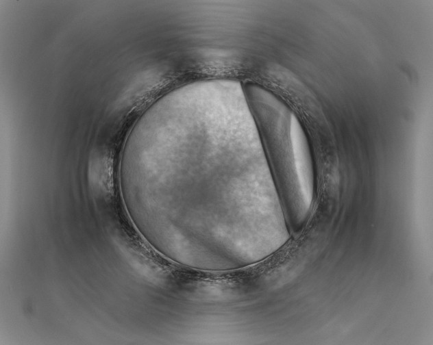 X0000111350696200908071133