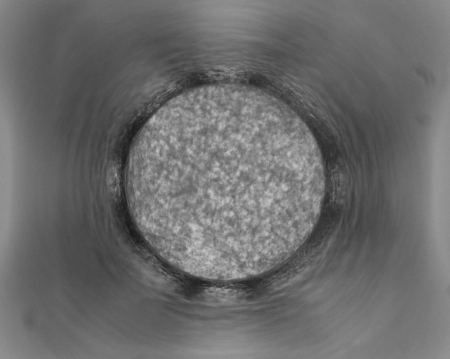 X0000111350699200908071133