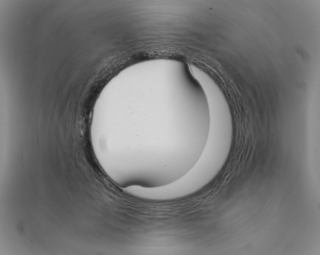 X0000111350701200908071133