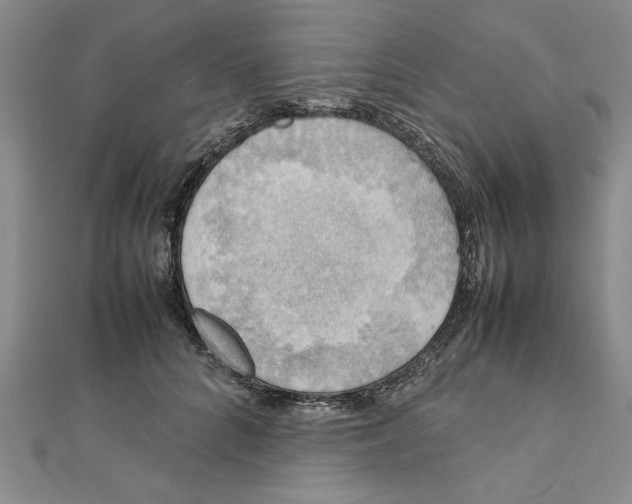 X0000111350704200908071133