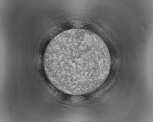 X0000111350707200908071133