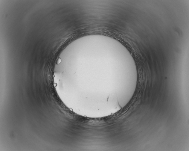 X0000111350708200908071133