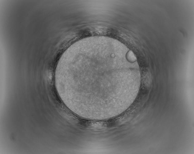 X0000111350709200908071133