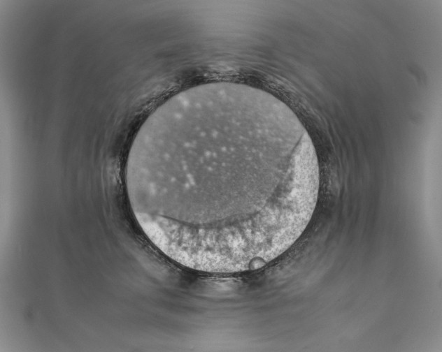 X0000111350711200908071133