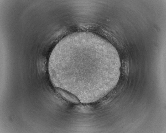 X0000111350712200908071133