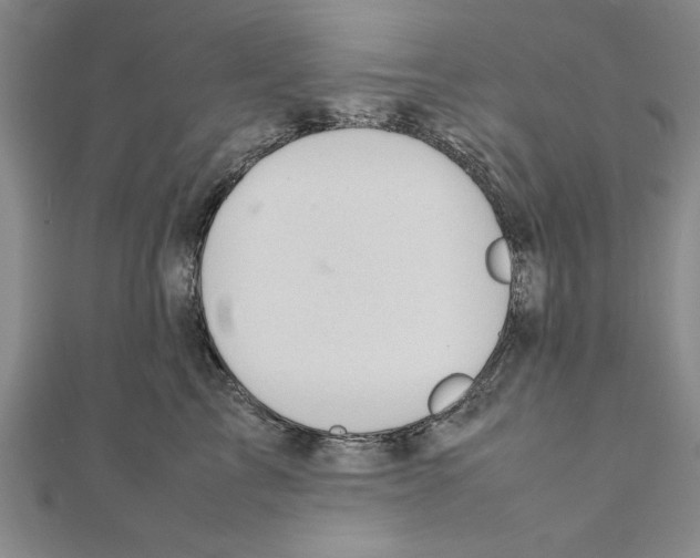 X0000111350713200908071133