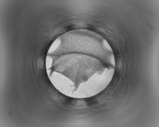 X0000111350715200908071133