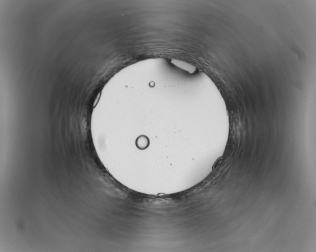 X0000111350716200908071133