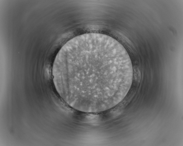 X0000111350718200908071133