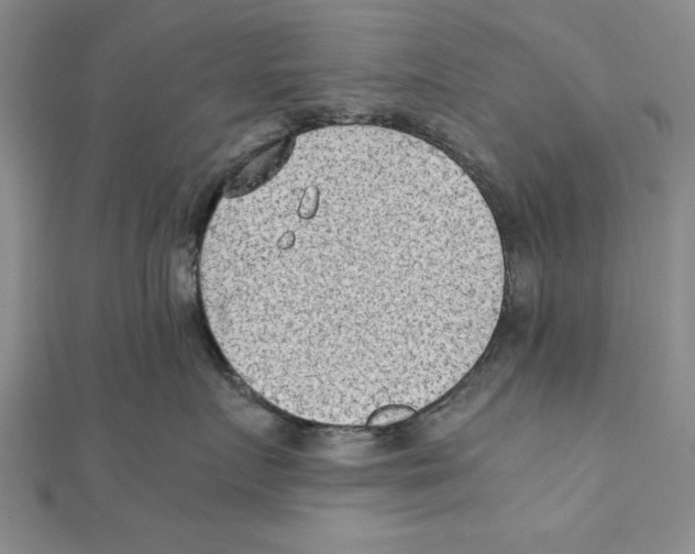X0000111350719200908071133