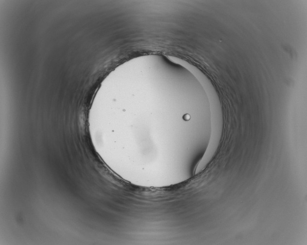 X0000111350720200908071133