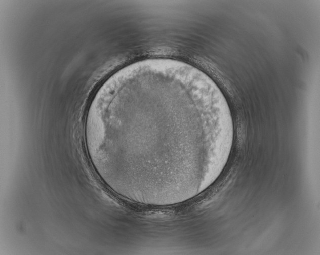 X0000111350721200908071132