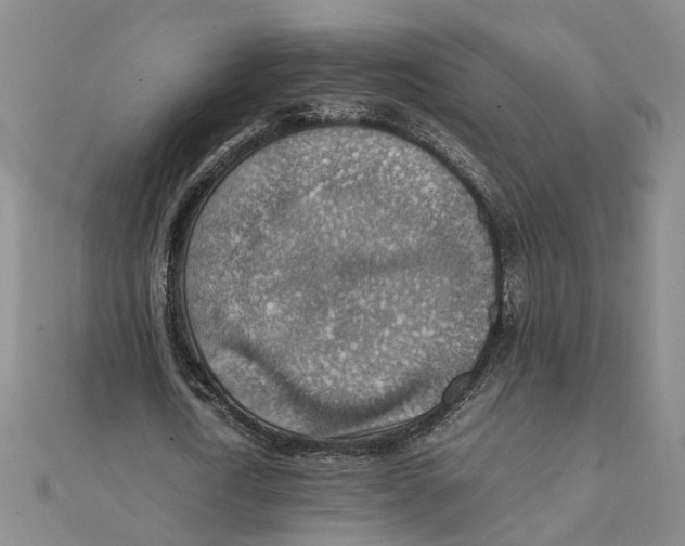 X0000111350722200908071132