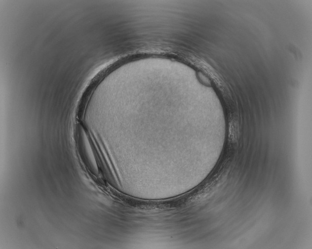 X0000111350724200908071132