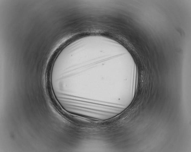 X0000111350726200908071132