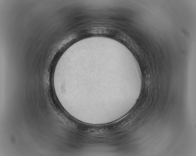 X0000111350727200908071132