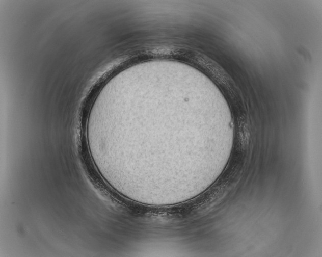 X0000111350728200908071132