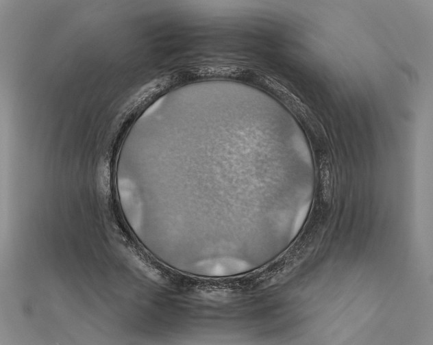 X0000111350729200908071132