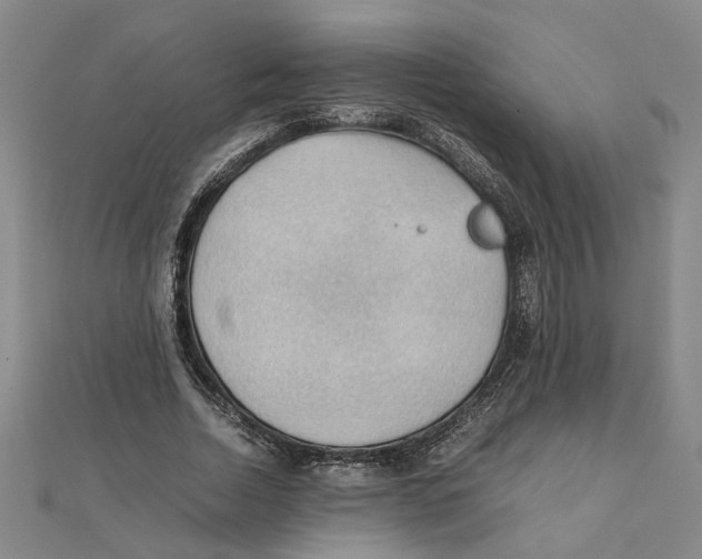 X0000111350730200908071132