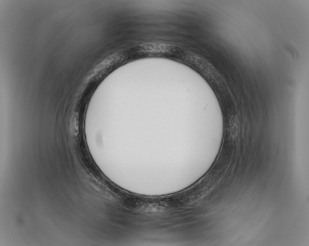 X0000111350731200908071132