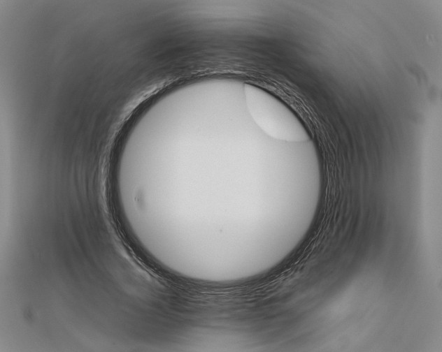 X0000111350732200908071132