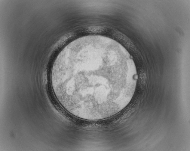 X0000111350734200908071132
