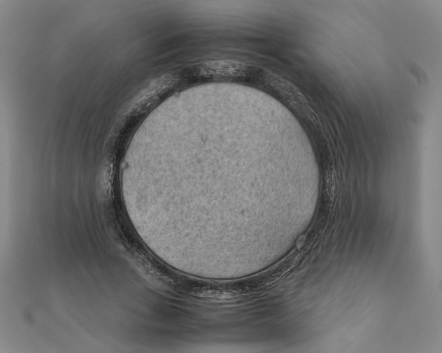 X0000111350735200908071132