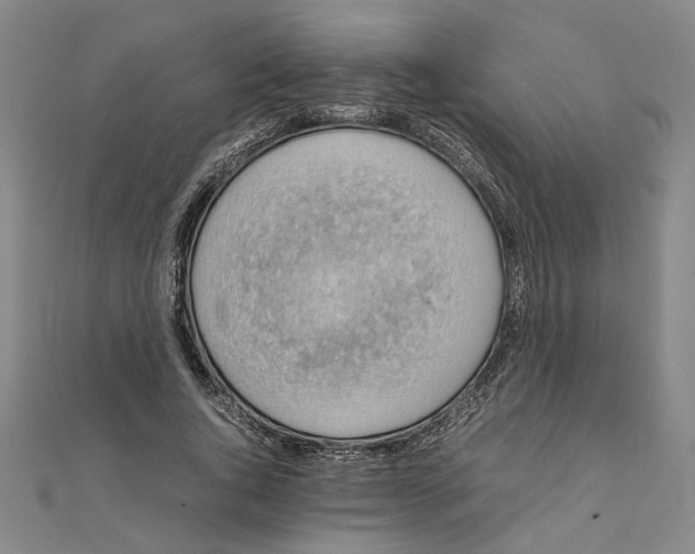 X0000111350736200908071132