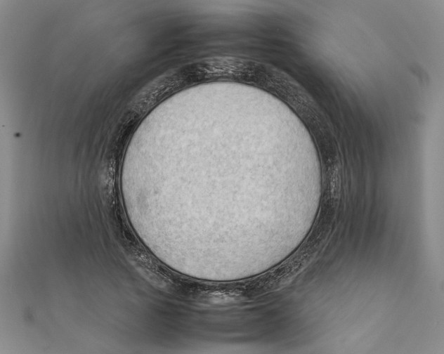 X0000111350737200908071132
