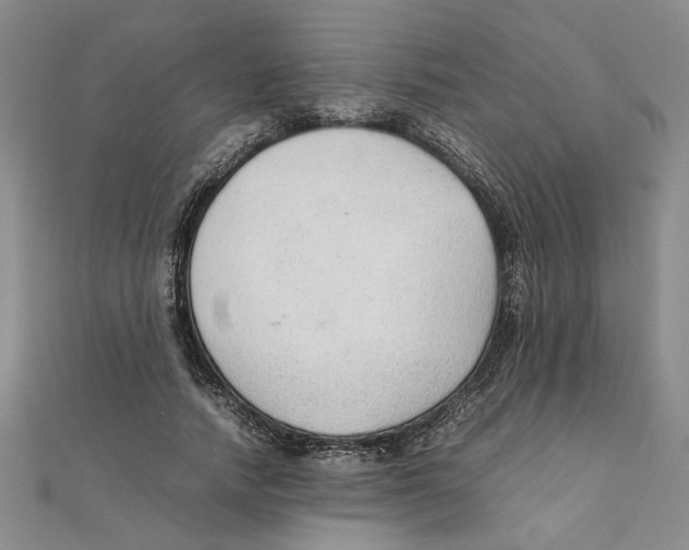 X0000111350738200908071132