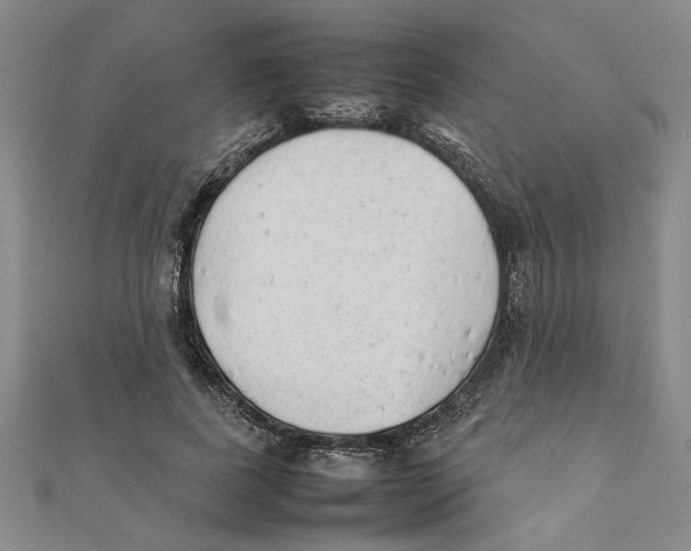 X0000111350739200908071132
