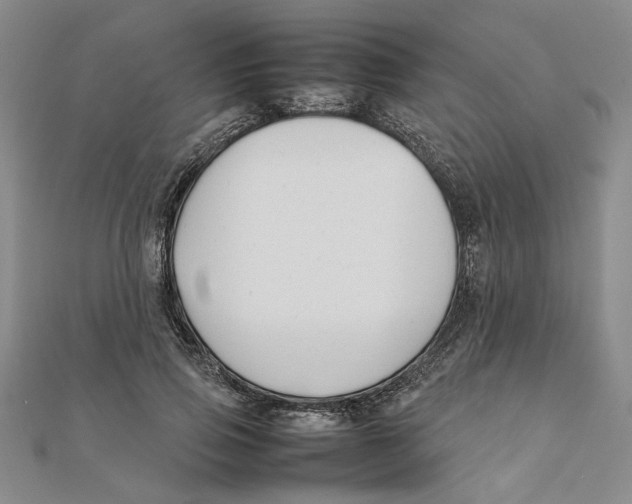 X0000111350741200908071132