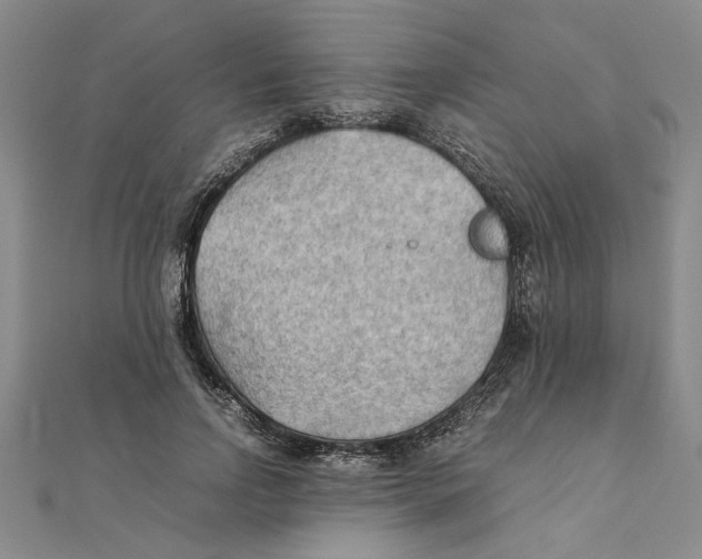 X0000111350742200908071132