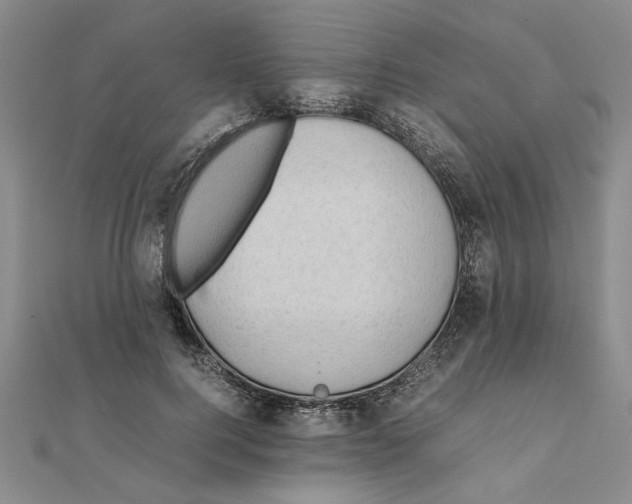 X0000111350744200908071132
