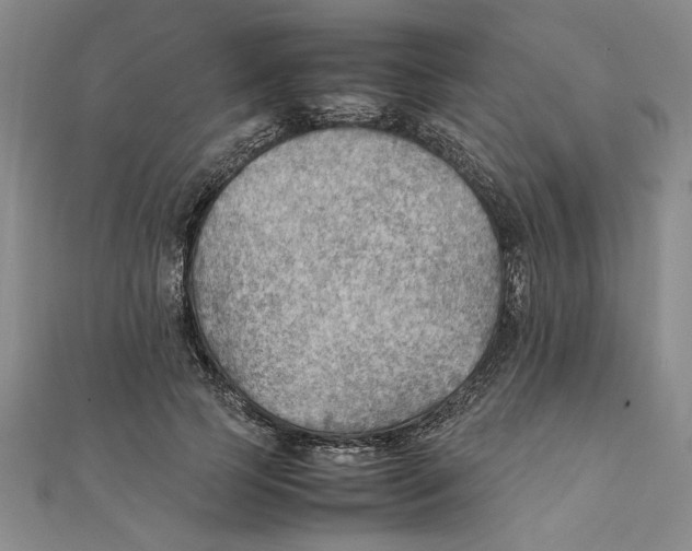 X0000111350745200908071132