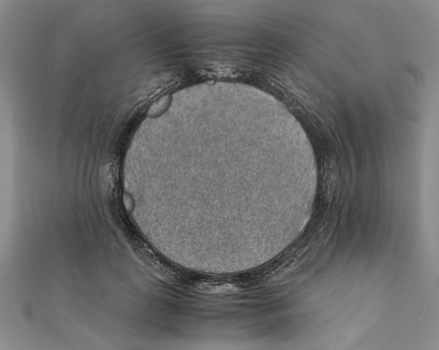 X0000111350747200908071132