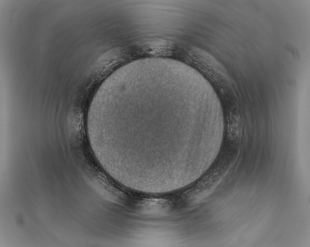 X0000111350748200908071132