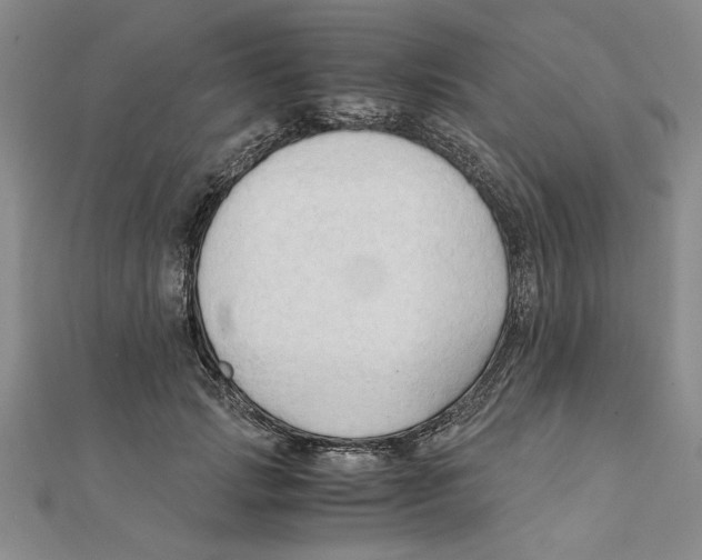 X0000111350749200908071132