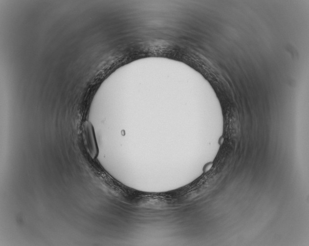 X0000111350750200908071132