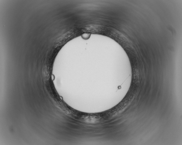 X0000111350751200908071132
