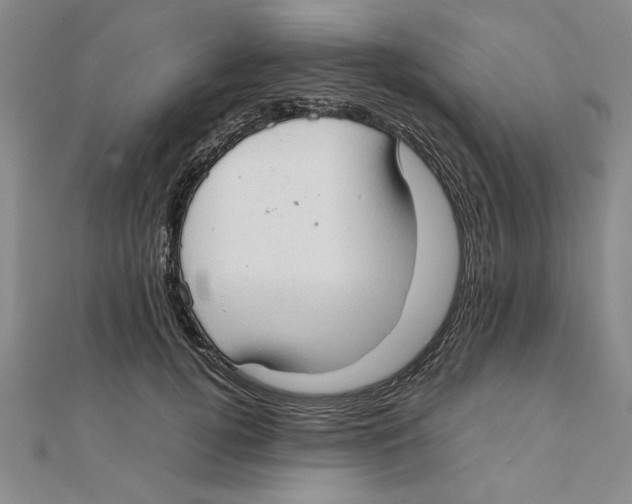 X0000111350752200908071132