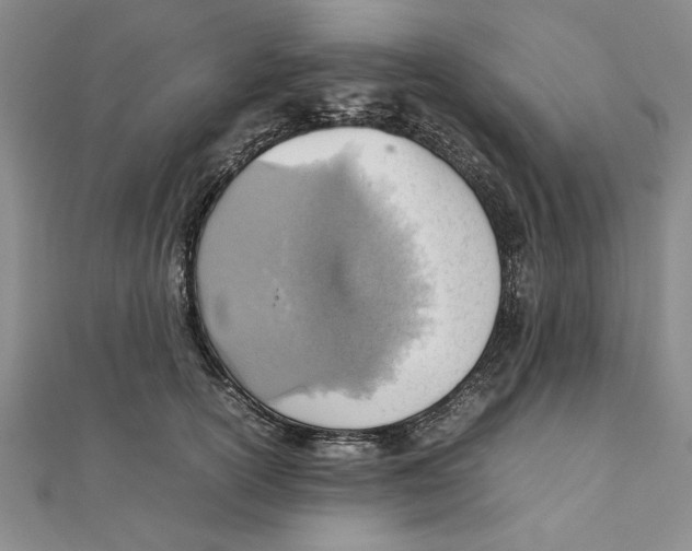 X0000111350754200908071132