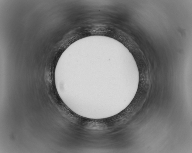 X0000111350755200908071132