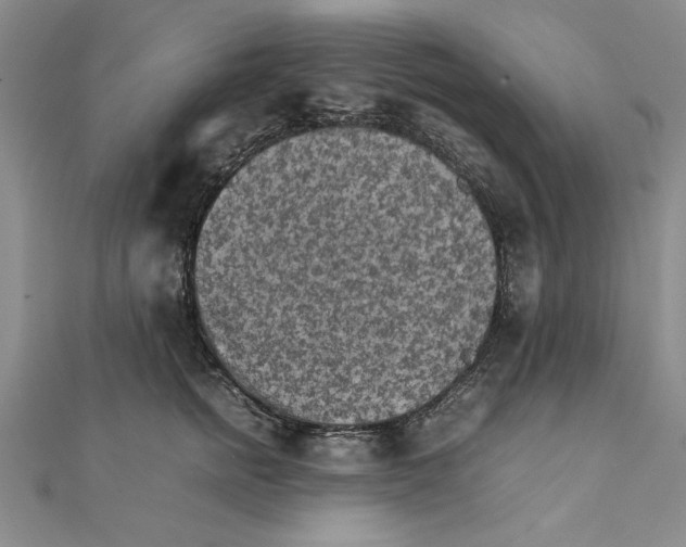 X0000111350758200908071133