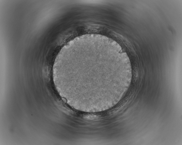 X0000111350759200908071133