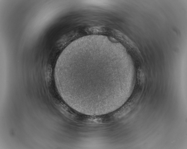 X0000111350760200908071133
