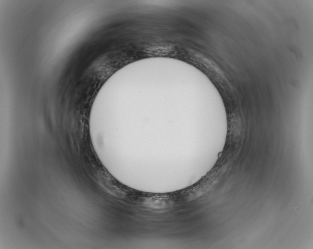 X0000111350761200908071133