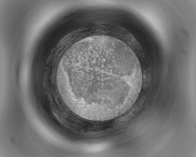X0000111350765200908071133