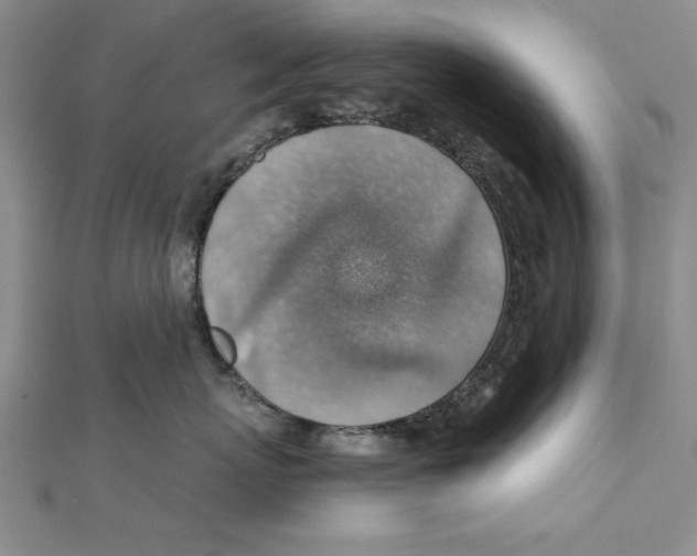 X0000111350767200908071133